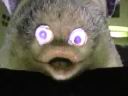 furbie.mov